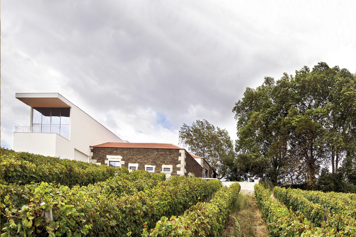 Aneto Wines - Vinhas do Douro
