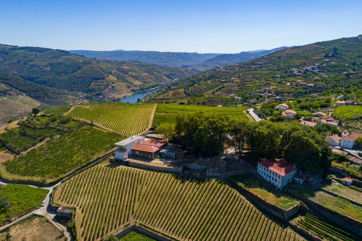 Aneto Wines | Vinho do Douro