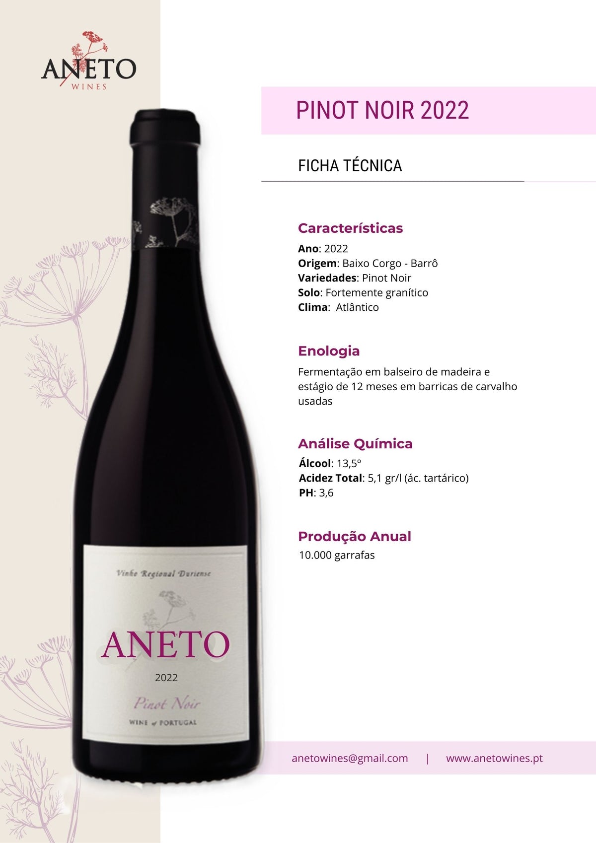 Ficha técnica Vinho Tinto Aneto Pinot Noir